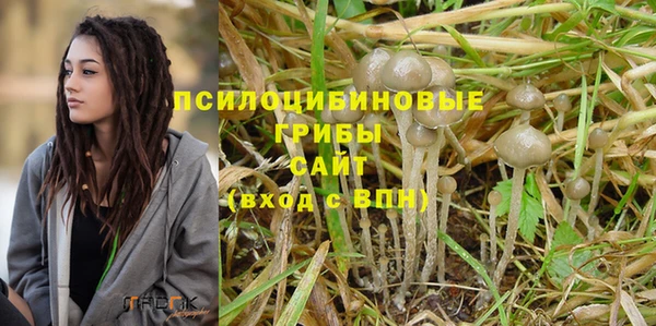 гидра Алексин