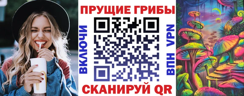 Галлюциногенные грибы Cubensis  Аркадак 